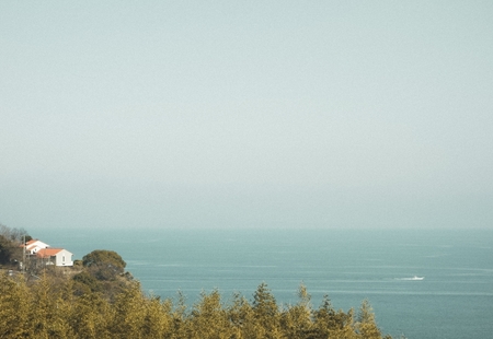 明るい孤独をたずさえて、暮らしのかたちをたしかめる。海へとつづく真鶴の日々。｜文・のもとしゅうへい（作家）