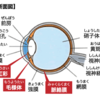 虹彩毛様体炎の治療でアトロピンを使うのは何故か