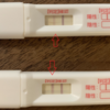 【妊活】生理が遅れている。妊娠検査薬と妊娠兆候