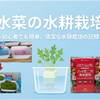水菜の水耕栽培｜初心者でも簡単・100均でできる育て方【ベランダOK】
