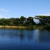 大瀬崎の神池とビャクシン樹林を観に行ってきた。