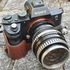 【オールドレンズ】Flektogon 35mm F2 Exaktaマウントはマクロからパンフォーカスまでオールマイティ【α7II】