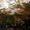 談山神社の写真終わり！