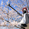 ななタマ姉の桜を見る会　そのしっくす　メイド武装編