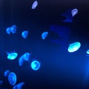 記憶の中の生活