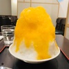 【かき氷男子が行く！】050 目白の志むらさんで期間限定みかんのかき氷を食べてきました！