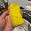 【スポンジの旅38】致命的な欠陥があるので「喝」を入れたい / アイセン「泡だつスポンジ」を11日間使った感想