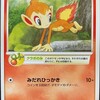 ポケカ殿堂で知っておくべき特別なカード集