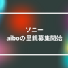 ソニー、aiboの里親募集開始 山崎光春