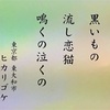 NHK俳句「猫の恋」夏井いつき選(改)