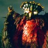 フクロウを愛した容疑者