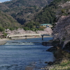 題名「さくら橋」