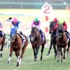 　お掃除、有馬記念、ヤンググランプリ08