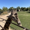 動物園