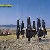 Alan Parsons 「Jigue」