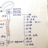 自律神経って、気持ちのup downじゃ無いの？