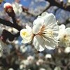 頭痛・・