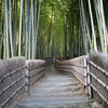  Sagano, Kyoto, Japan (by Chris)