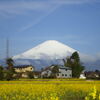 曇りのち富士山