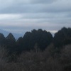 今朝の景色
