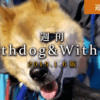 【1月6日版】注目：体重差で違う動物医療（チワワとセントバーナードは同じ犬？）［2019.1.6］