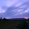 浜ちゃん９０歳の散歩道(１４６８)        浜松基地のＡＷＡＣＳ(早期警戒管制機)が夕陽を浴びて飛行訓練しているのが印象的であった