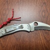 デザインに惚れた！Spyderco「スパイダルコ」波刃のハーピー