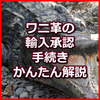 ワニ革製品の輸入許可の取り方【かんたんCITES詳細解説】このページだけで申請まで理解できます