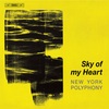 《Sky of My Heart》──ニューヨーク・ポリフォニーとレストレンジ・ヴィオールズによる美しき魂の軌跡