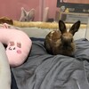 今日はいつもどおり