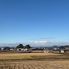 干し柿2024 （５）ホウキ掛け〜陰干し〜完成