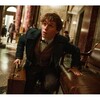 「ファンタスティック・ビーストと魔法使いの旅」