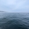 シバモンさんと久しぶりに出港