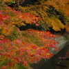 　京都東山　哲学の道・永観堂（禅林寺）・南禅寺の紅葉