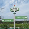 台田運動公園_彼岸花（東京都清瀬市）