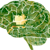 Explainable Artificial Intelligence (説明可能なAI) を整理してみた  