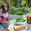 犬可店　朝カフェ巡り　Mr.FARMER/FUGLEN/むさしの森珈琲