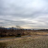 県立相模三川公園　　２０１３年２月１４日