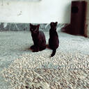 スペイン人彼氏との日常