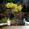 ２００９年一日旅　宮ケ瀬湖　ロードバイク巡り　５