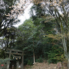 【西尾市】式内　久麻久神社