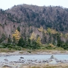 日光白根山　紅葉など