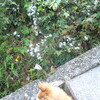 もしかして。。だんだん ツマラナイ人生になってきてる？