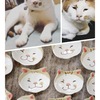 猫の豆皿part2