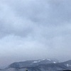 11月8日（金）2019
