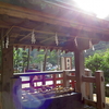 ８月１６日　鎌倉鶴ヶ岡八幡宮の情景ほか　と江ノ島の猫さま
