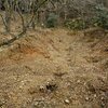 野鳥観察のはずが・・・・・