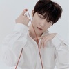 SEVENTEEN ディノ〜12人のヒョン達の愛でスクスク育ったＫ-POPの未来〜