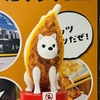 これから先もなんとかなれ！（2025.04.07〜2025.04.13の日記）