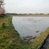 畔塗りと桜の木と高圧洗浄機